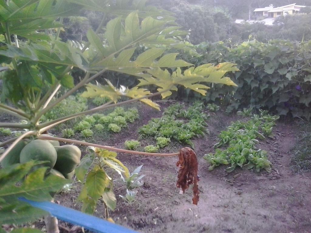 Pousada Complexo Cantagalo Sao Tome das Letras Luaran gambar